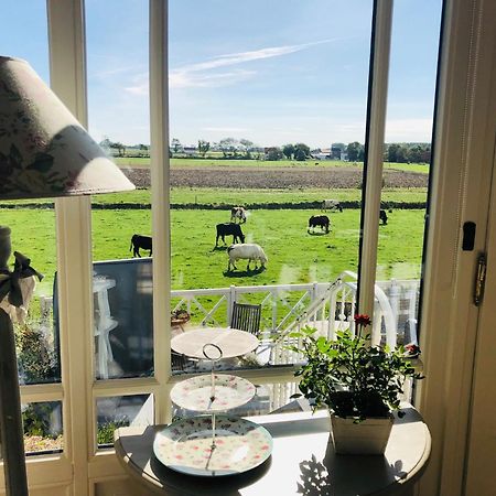 Bed & Breakfast Het Zilte Zand - Luxe Ontbijt - Gratis Parking - Westende Middelkerke Zewnętrze zdjęcie